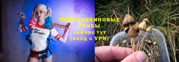 Альфа ПВП Мегион