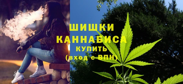 шишки Медногорск