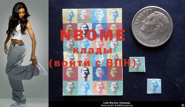 шишки Медногорск