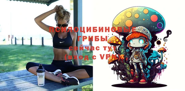 MDMA Premium VHQ Медвежьегорск