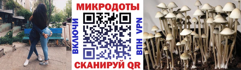 Псилоцибиновые грибы ЛСД  Купить закладки  Пыталово 